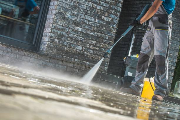 Best Building Exterior Washing  in Curtisville, PA