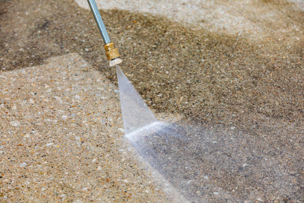 Best Winterizing Services  in Curtisville, PA